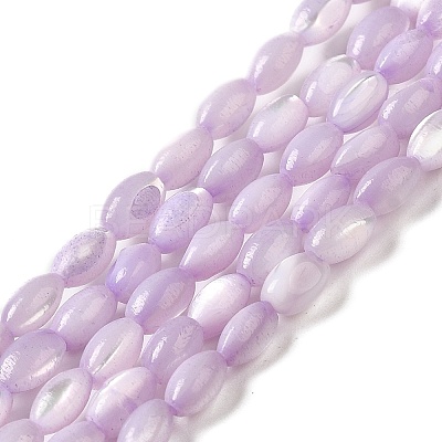 Natural Trochus Shell Beads Strands X-SHEL-K006-19B-1