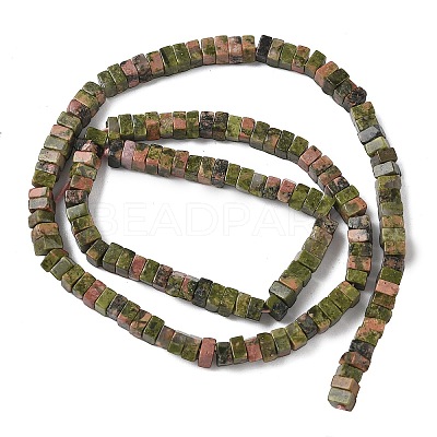 Natural Unakite Beads Strands G-A280-C10-01-1
