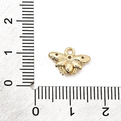 Brass Micro Pave Clear Cubic Zirconia Charms CU-CBA3D76-03G-03-1