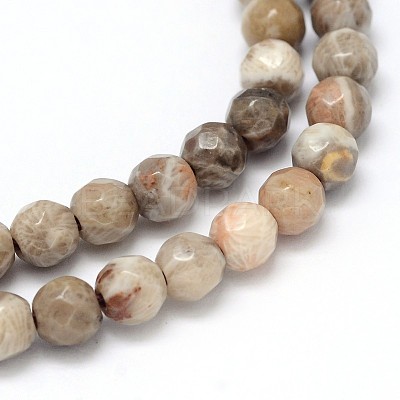 Natural Fossil Coral Round Bead Strands G-O094-08-4mm-1