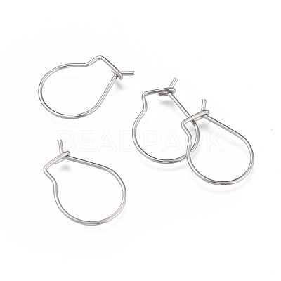 Tarnish Resistant 304 Stainless Steel Hoop Earrings Findings STAS-H436-02P-1