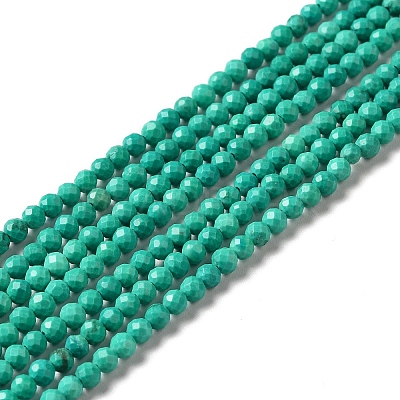 Natural Howlite Beads Strands G-C025-02B-02-1