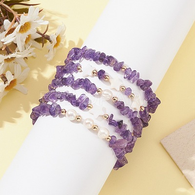 5Pcs 5 Style Natural Amethyst Chips Stretch Bracelets Set BJEW-JB09551-01-1
