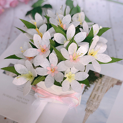 1Set Non-woven Fabric Material Package DIY-SC0032-33A-1