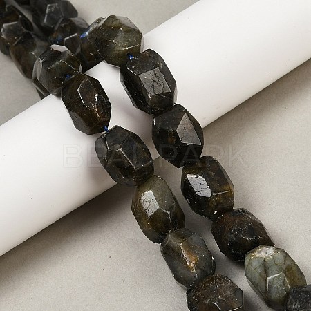 Natural Labradorite Beads Strands G-F796-C10-01-1