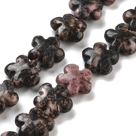 Natural Rhodonite Beads Strands G-F769-S01-01-1