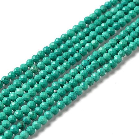 Natural Howlite Beads Strands G-C025-02B-02-1