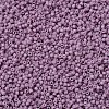 MIYUKI Delica Beads LS-X-SEED-J020-DB0800-3