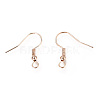 Iron Earring Hooks LS-X-IFIN-EC135-RG-2