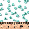 6/0 Glass Seed Beads SEED-S058-A-F439-4