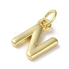Rack Plating Brass Charms KK-P245-06G-N-2