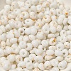 Baking Paint Glass Seed Beads SEED-F006-01A-15-3