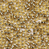 Glass Seed Beads X-SEED-S042-04B-07-3