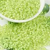 MIYUKI Round Rocailles Beads SEED-X0055-RR0675-1