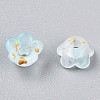Frosted Transparent Acrylic Beads LS-X-OACR-N137-72I-3