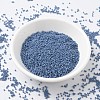 MIYUKI Delica Beads X-SEED-J020-DB2135-2