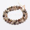 Natural Black Sunstone Beads Strands G-K209-02D-8mm-2