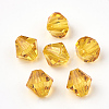 Transparent Acrylic Beads TACR-S146-10mm-10-2