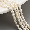 Natural Keshi Pearl Cultured Freshwater Pearl Beads Strands PEAR-P062-19-1