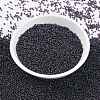 MIYUKI Round Rocailles Beads X-SEED-G009-RR0171-2