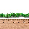 Natural Freshwater Shell Beads Strands BSHE-I016-01D-2