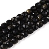Natural Golden Sheen Obsidian Beads Strands G-N342-110-1