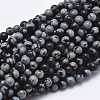 Natural Snowflake Obsidian Beads Strands G-A177-04-21-1