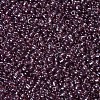 12/0 Glass Seed Beads SEED-A006-2mm-116-2