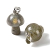 Natural Labradorite Pendants GG-CBAA0EE-05P-04-2