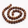 Natural Elephant Skin Jasper/Miriam Stone/Calligraphy Stone Beads Strands G-F512-10mm-2
