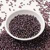 MIYUKI Round Rocailles Beads X-SEED-G008-RR3748-2