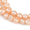 Natural Cultured Freshwater Pearl Beads Strands PEAR-P064-20B-08C-4