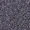 MIYUKI Delica Beads SEED-X0054-DB1486-3