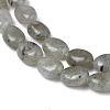 Natural Gray Labradorite Beads Strands G-Z006-A12-2