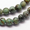 Natural African Turquoise(Jasper) Beads Strands X-G-N0188-02-3mm-3