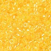 Glass Seed Beads SEED-S042-13A-03-3