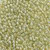 TOHO 8/0 Round Beads SEED-JPTR08-1848-4