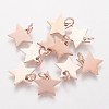 304 Stainless Steel Charms STAS-Q201-T461R-1