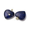 Dyed Natural Lapis Lazuli Pendants G-P588-01G-08-2