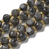 Natural Larvikite Beads Strands G-K387-A02-01-2