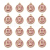 Golden Plated Alloy Enamel Charms ENAM-S118-07U-2