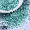MIYUKI Round Rocailles Beads X-SEED-G007-RR0536-1