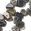 Natural Labradorite Beads Strands G-P528-K10-01-1