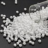 TOHO 6/0 Round Beads SEED-TR06-0041-1