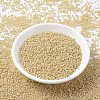 MIYUKI Round Rocailles Beads X-SEED-G007-RR0488-1
