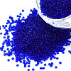 15/0 Transparent Czech Glass Seed Beads SEED-N004-004-07-1