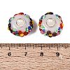 Handmade Lampwork & Brass Core European Beads LAMP-N044-06S-01-4