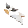 Natural Black Lip Shell & White Shell & Yellow Shell Cabochons SSHEL-I026-26-2