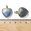 Natural Labradorite Pendants G-G956-B24-G-3