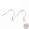 925 Sterling Silver Earring Hooks STER-D035-22S-1